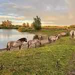 Mamaloutje Bed & Breakfast