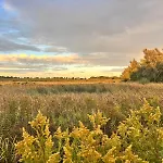 Mamaloutje Bed & Breakfast Bemmel