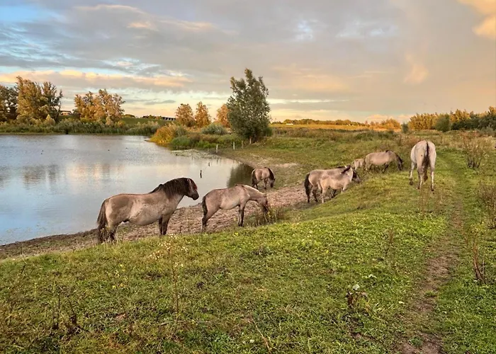 Mamaloutje Bed & Breakfast