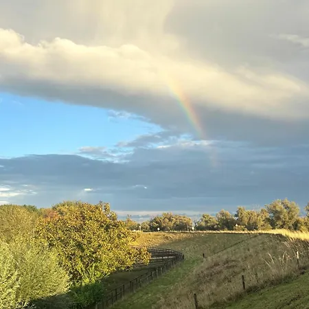 Mamaloutje Bed & Breakfast Bemmel