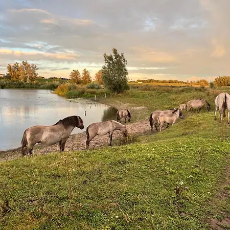 Mamaloutje Bed & Breakfast