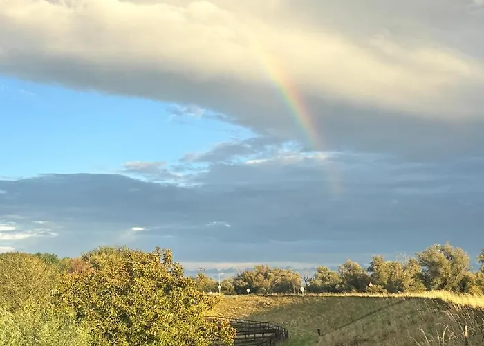 Mamaloutje Bed and breakfast Bemmel